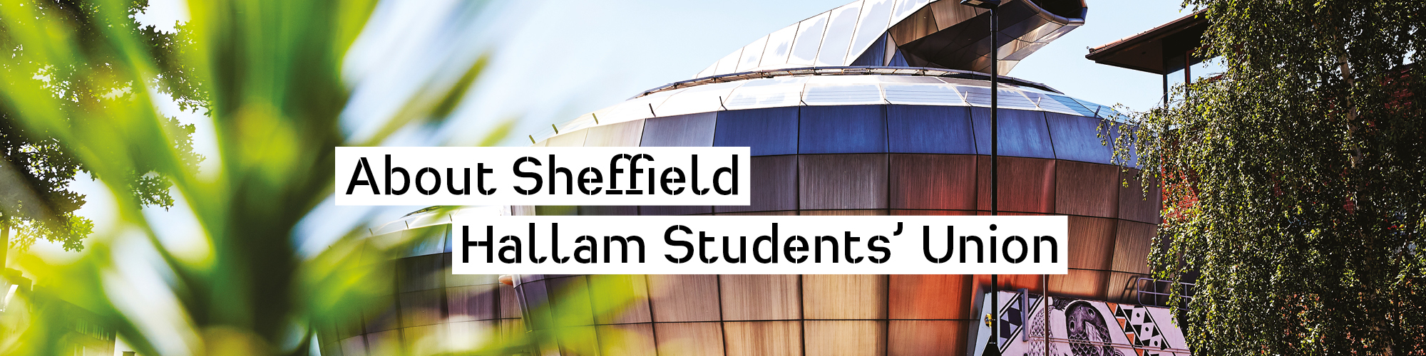 Lorem ipsum dolor sit amet, consectetur adipiscing elit, sed do eiusmod tempor incididunt ut labore et dolore magna aliqua.